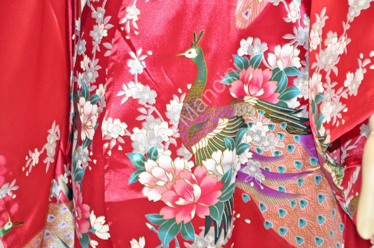 Geisha Costume vestito (15)