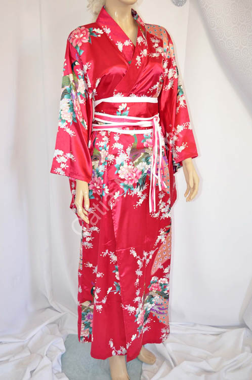 Geisha Costume vestito (3)