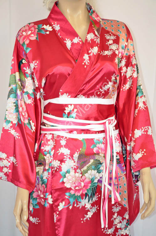 Geisha Costume vestito (4)