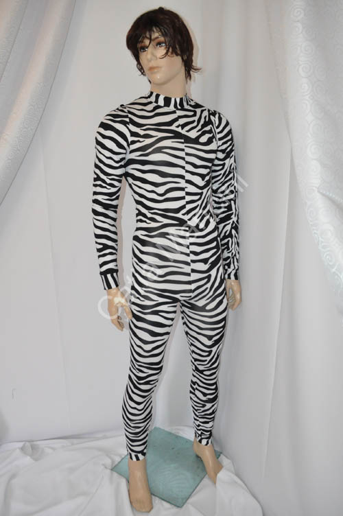 disco dancer zebra (11)