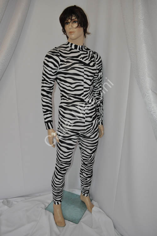 disco dancer zebra (2)