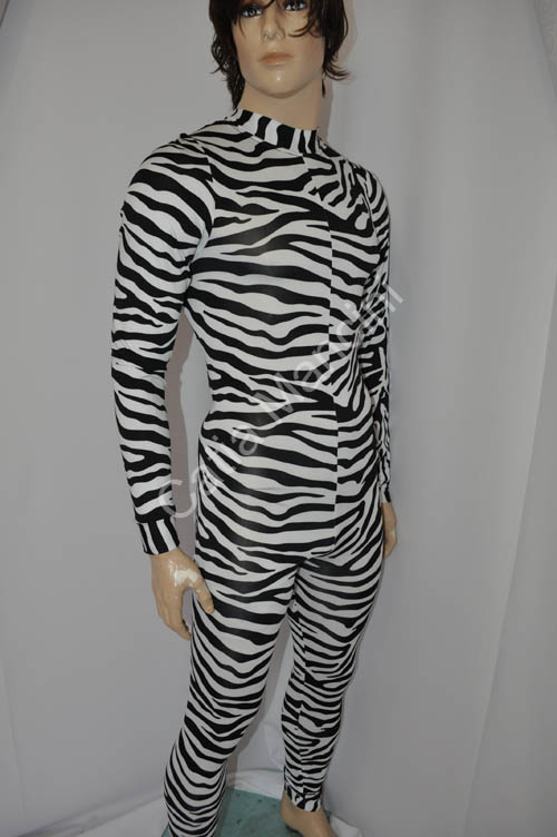 disco dancer zebra (3)