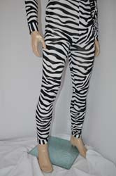 disco dancer zebra (10)