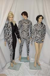 disco dancer zebra (16)